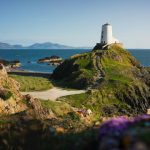 white lighthouse on green grass field near body of water during daytime