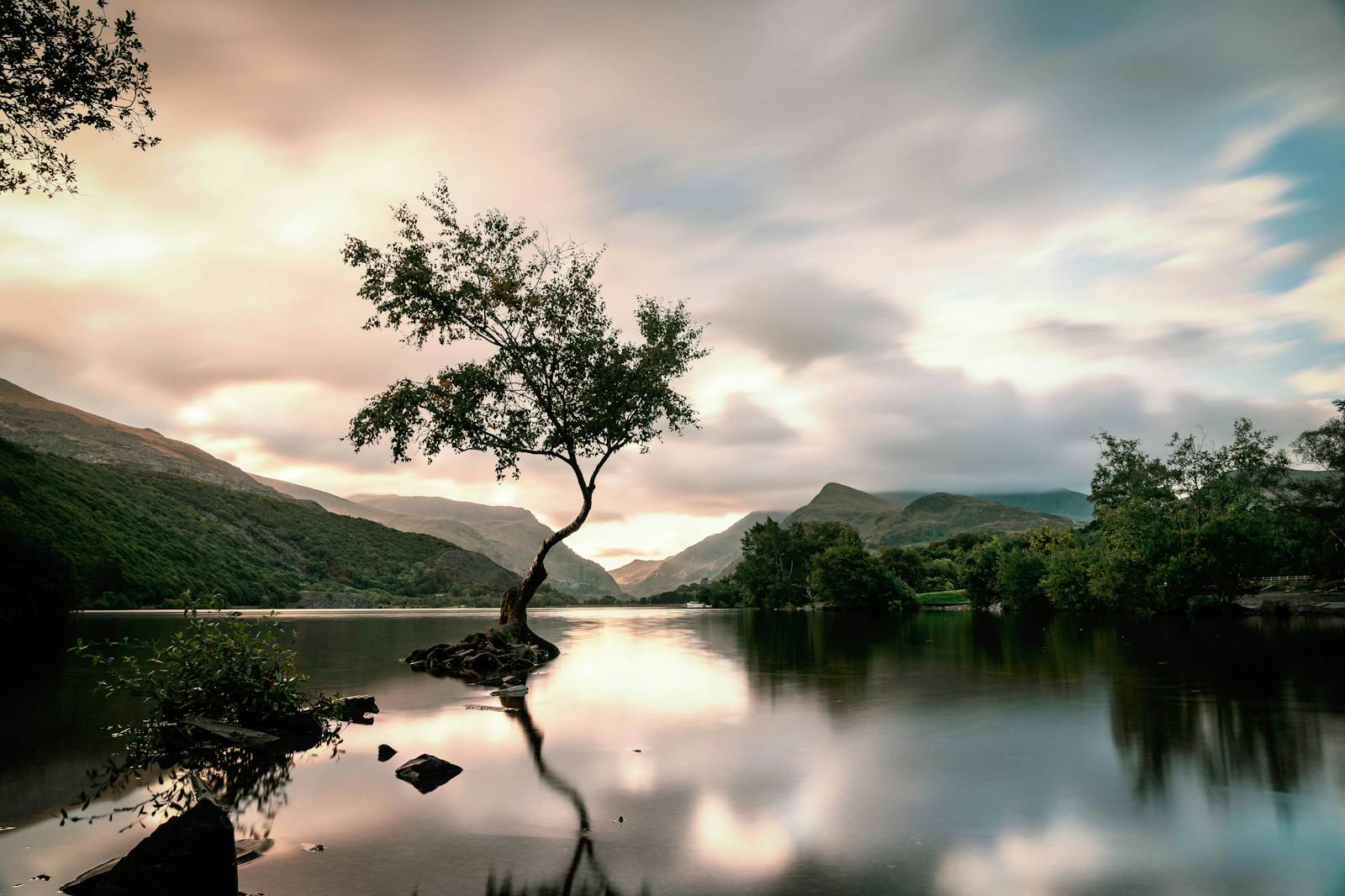 Peaceful lake with a lone tree during sunset in Gwynedd, Wales. Perfect for nature lovers.
